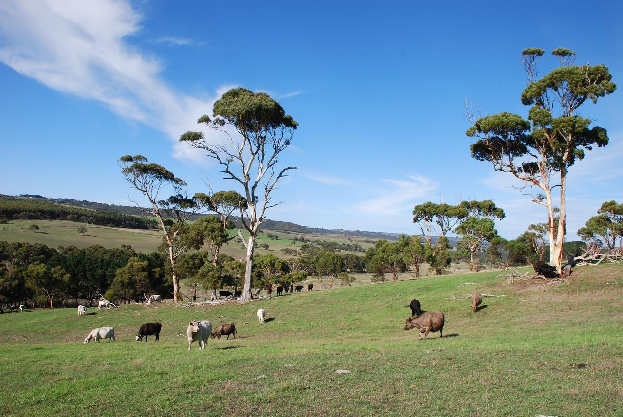 Back Valley Farmstay Bed And Breakfast Victor Harbor Exterior photo